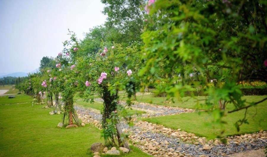 Flamingos Dai Lai Resort - Luxury Ngoc Quang Exteriér fotografie